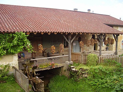 Moulin écomusée du Pont des vents