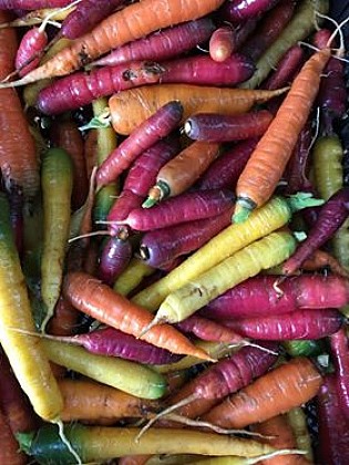 Les Paniers Sauvages