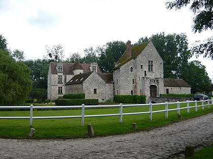 À cheval dans la forêt des Princes
