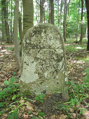 En forêt de Pontarmé