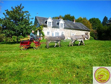 Le Gîte des ânes- Ludogîte