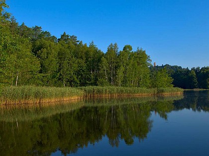 L'ETANG DE HANAU