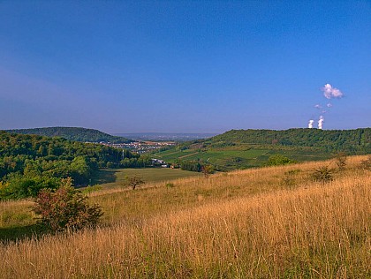Circuit du Hammelsberg