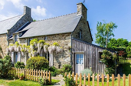 Les Roses Tremières