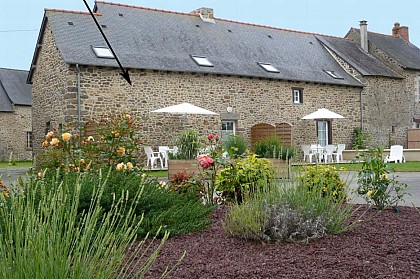 Les Iris