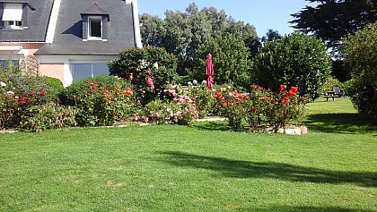 Location  des mésanges