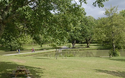Aire de pique-nique du lac