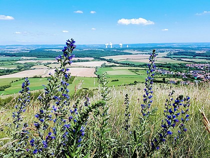 Point de vue du Hetschenberg