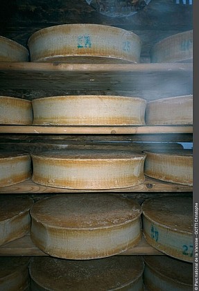 Le Canton d'Aime Beaufort Cooperative