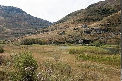 Protected area