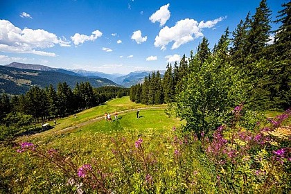 Point de vue sur la vallée de Moûtiers