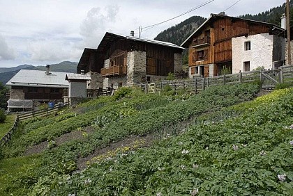 Le hameau du Mollard