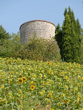 Ancien Moulin à Maubec