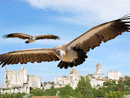 Les Géants du Ciel