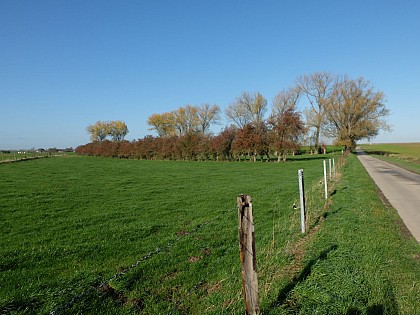 Site naturel de « La Mée »