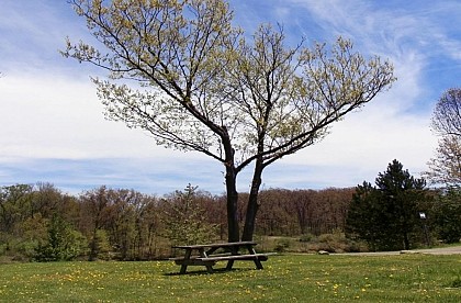 Aire de pique-nique de Razac d'Eymet