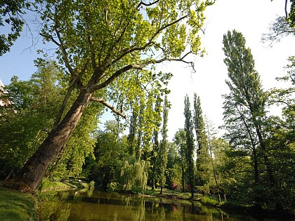 Jardin des Plantes ou Jardin d'Horticulture du Mans