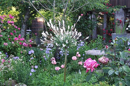 Le Jardin de Poésies