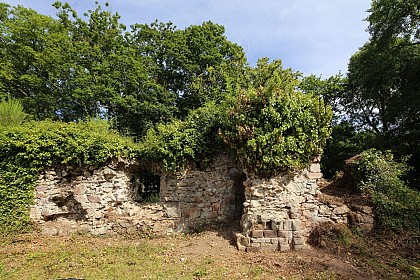 Vieux Château des Deffays (ruines)