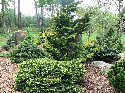 Arboretum de la Grand Prée