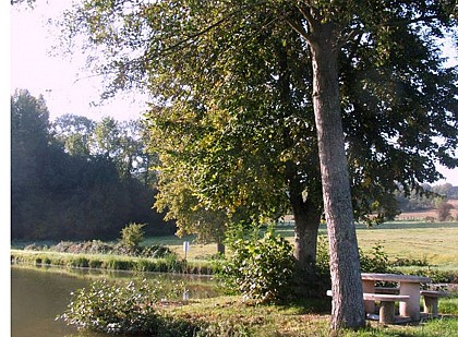 PLAN  D'EAU MUNICIPAL LA CHESNAIE DE MARIGNE LAILLE
