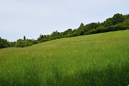 Le Coteau des Buttes