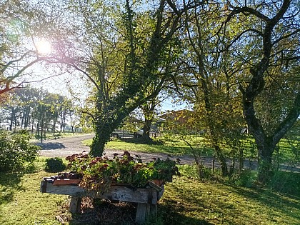 Gîte La Veillonniere - La Ferme de Camille