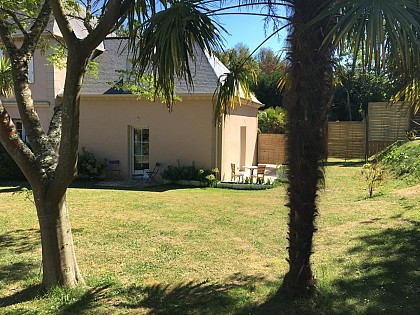 Les Albizzias