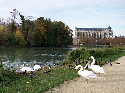 Jard Anglais et Grand Jard