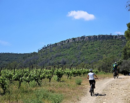 Vues Pic Saint loup - L'hortus