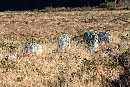 Noce de Pierres - An Eured Vein