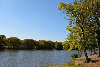 Etang communal de Saint Barbant