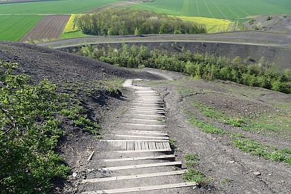 Terril n°02 de la Fosse 6 de Bruay