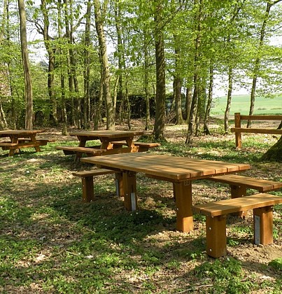 Aire de pique-nique - Helsinger Wald