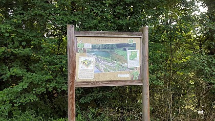 Lavoir et resurgence de Châteauvieux