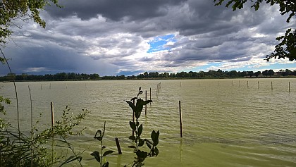 Etang du Grand Birieux, ENS de l'Ain