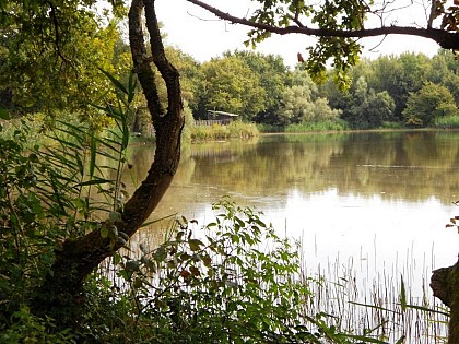 Domaine de Vernange, ENS de l'Ain