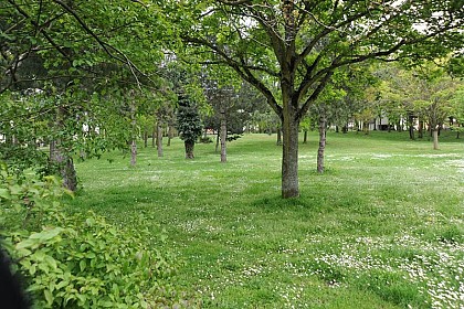 Parc Marcel-Paul