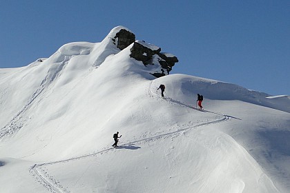 Tarentaise Tours - Bureau des guides