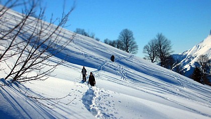 La Grangerie - Pascal Conceillon