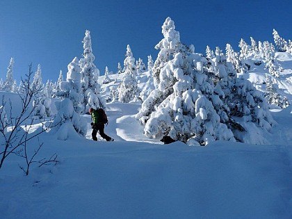 L'En-Hôt - Accompagnateur en montagne
