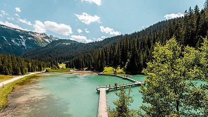 Lac de la Rosière