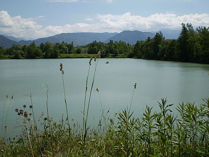 Site naturel des Iles de Vougy