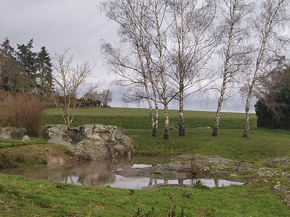 La mare de Mondeville