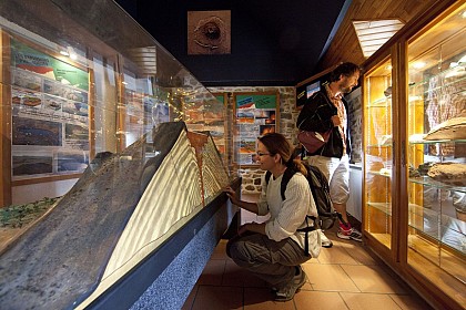 Geothermia : thermalism and geothermia European Museum