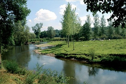 The river Lesse