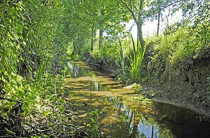 Bassin et sous-bassin versants