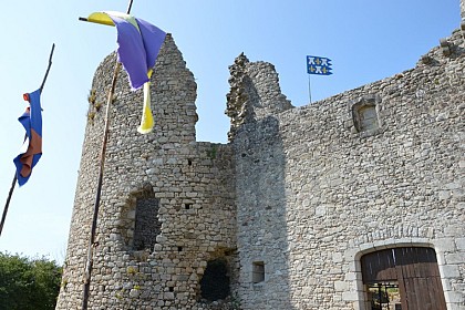 Château de Lastours