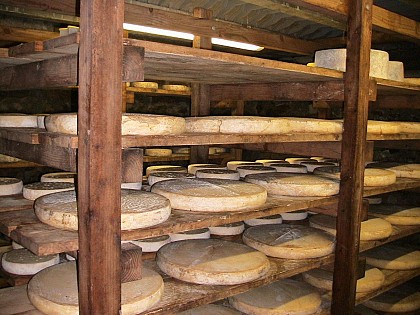 Fromagerie des Chanterelles