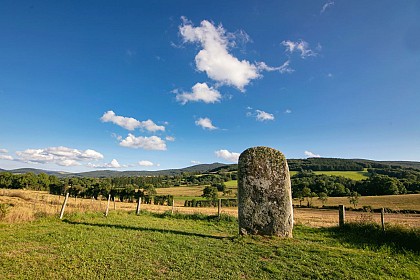 Statue-menhir de la Pierre Plantée (Peyro Levado)